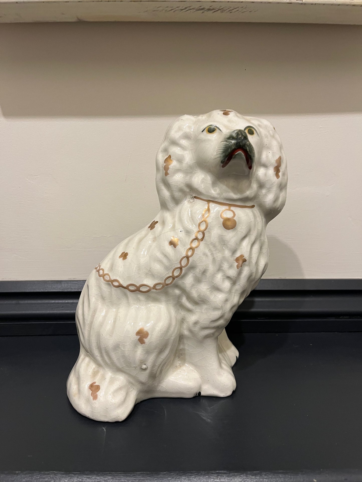 Wally Dog