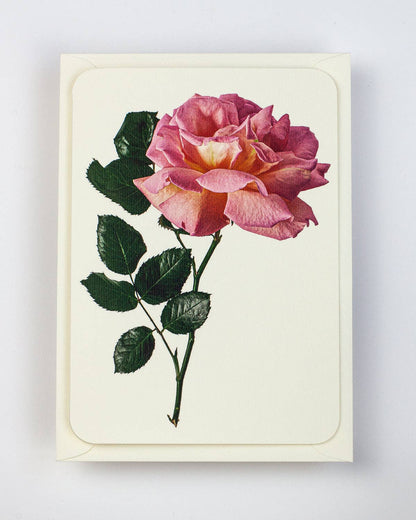 Pink Rose Greeting Card: Individual