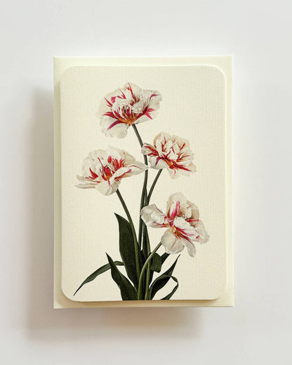 Tulips Greeting Card: Individual