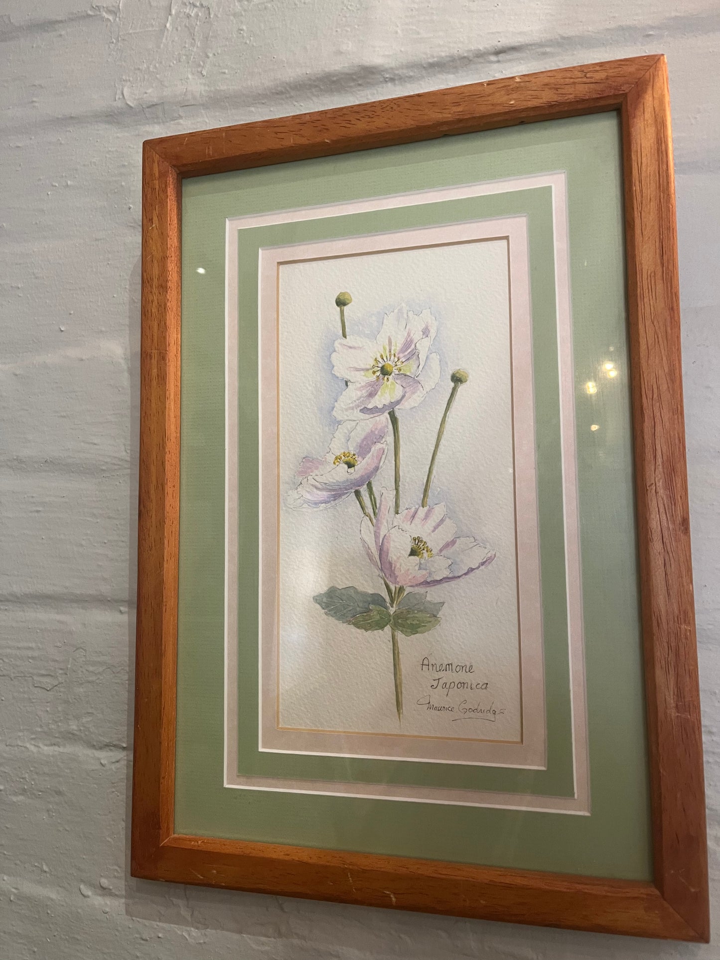 Anemone Japonica Signed &  Framed