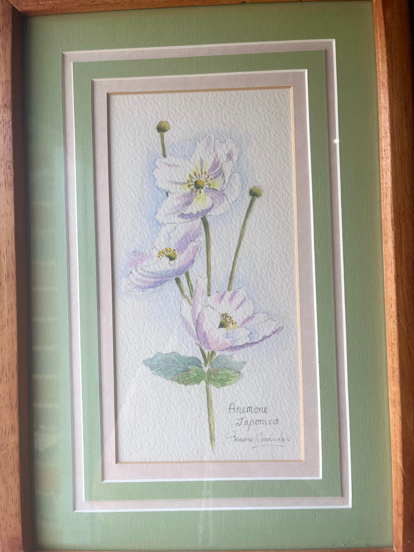 Anemone Japonica Signed &  Framed