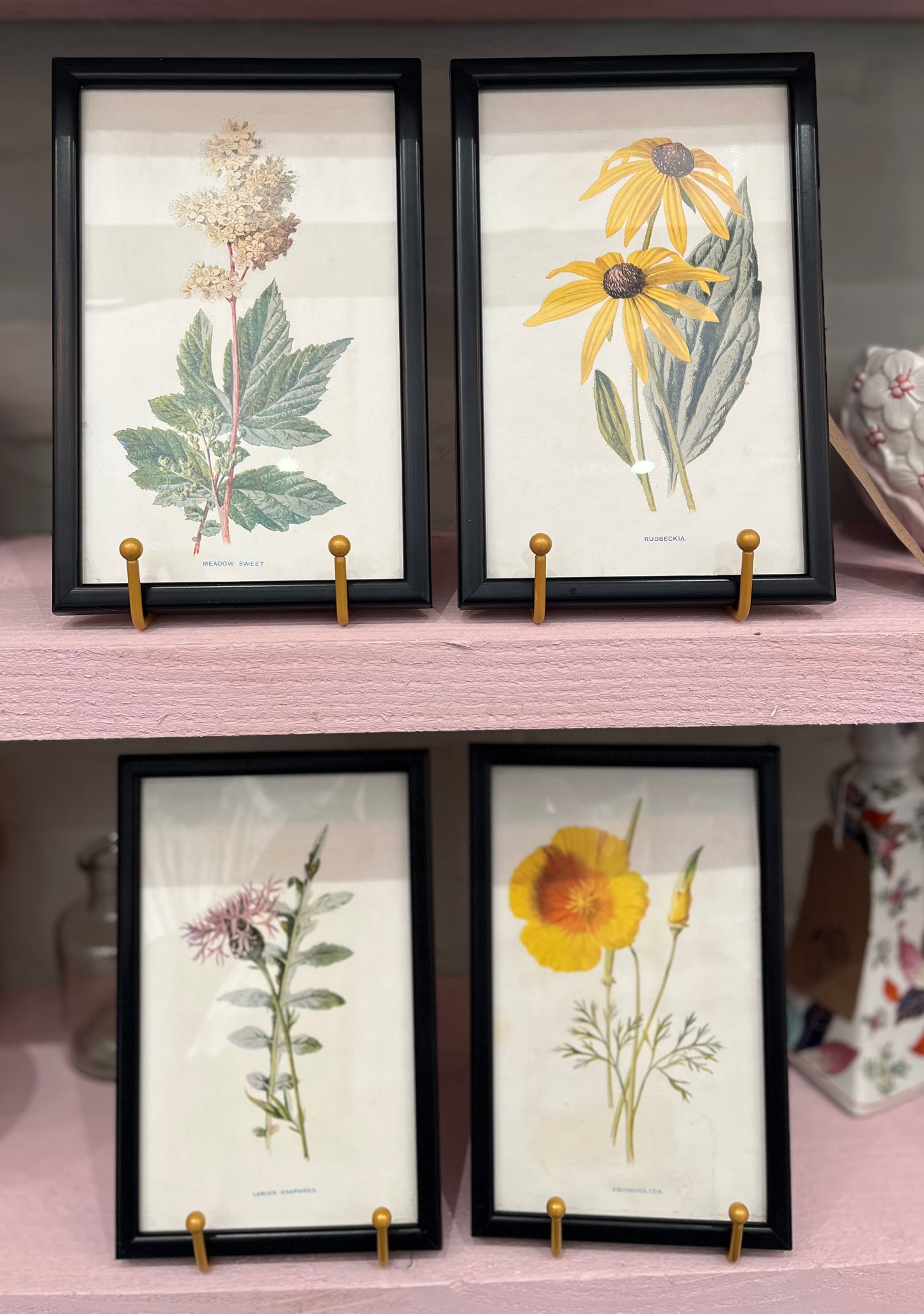 Set of 4 Vintage Botanical Prints