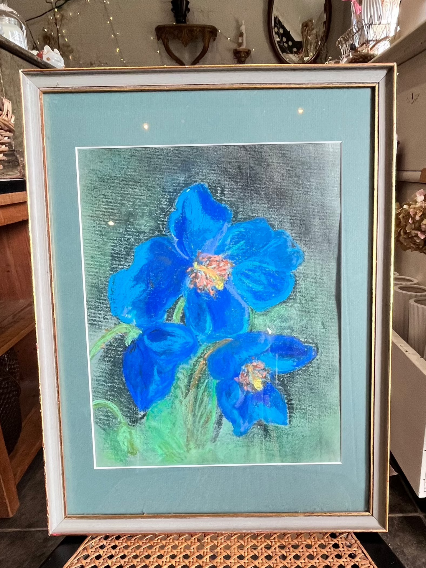 Meconopsis original pastel