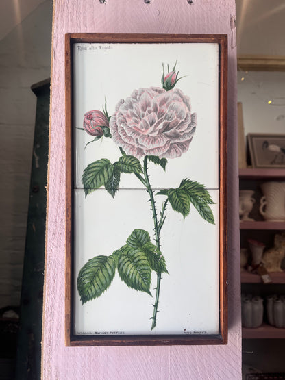 Hand painted framed tile - ROSA alba REGALIS