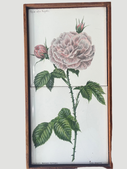 Hand painted framed tile - ROSA alba REGALIS