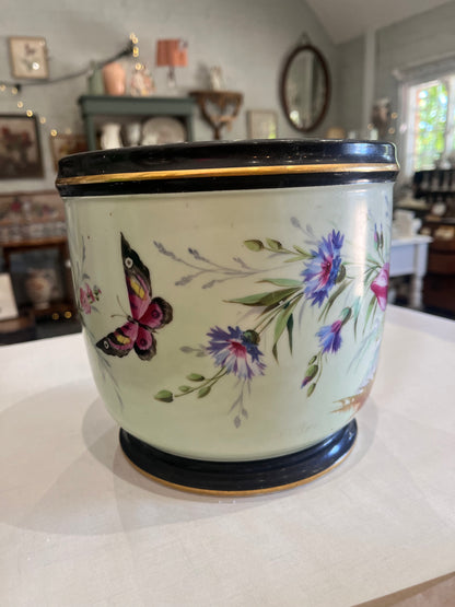 Napoleon Cache Pot - C.19th Century