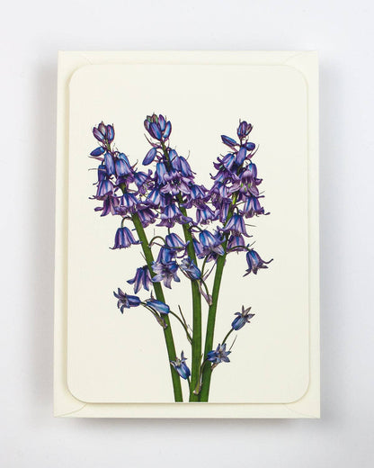 Bluebells Greeting Card: Individual